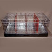 3 hole rabbit transport cage