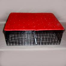 pointer hill rabbit supplies